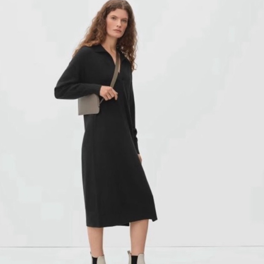 Everlane 100% cashmere sweater dress